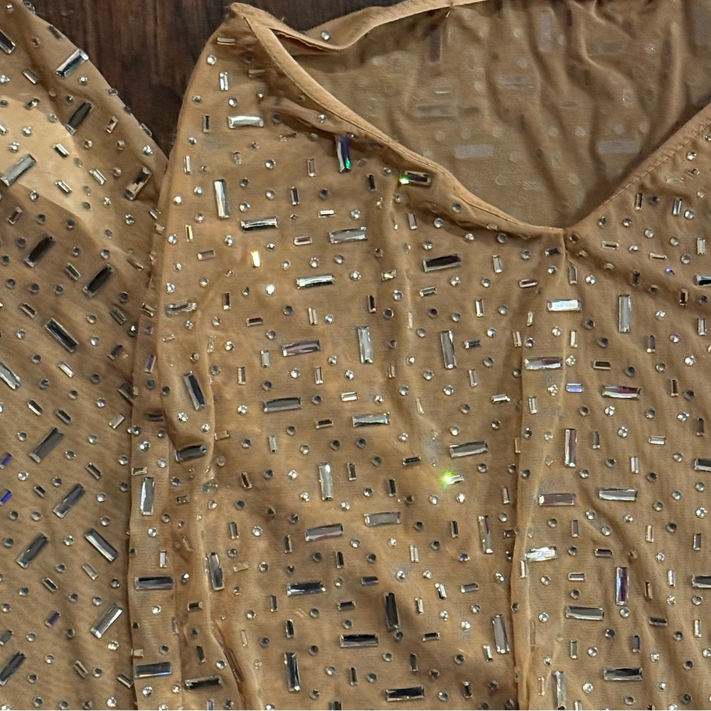 Chiara Sheer Embellished V-Waist Gown Skirt in Almond - Picture 11 of 14